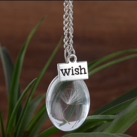 Make a wish Necklace - Picture 3 of 6